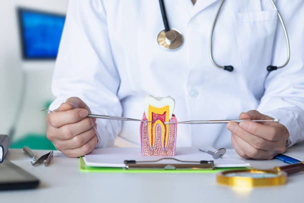 Best Dentist for Tooth Abscess  in Landrum, SC